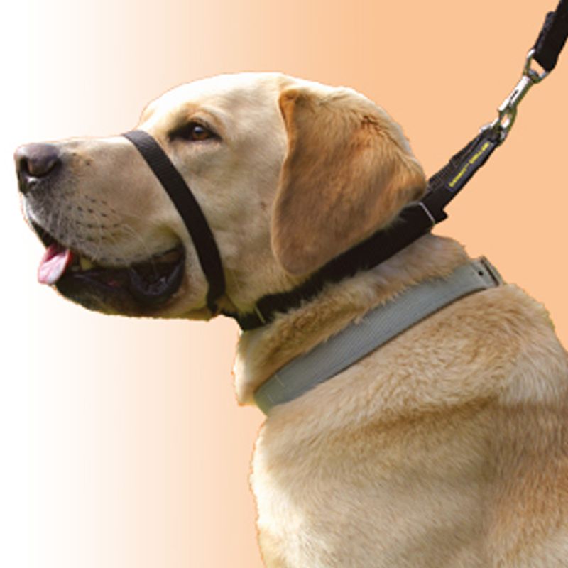 Cannycollar
